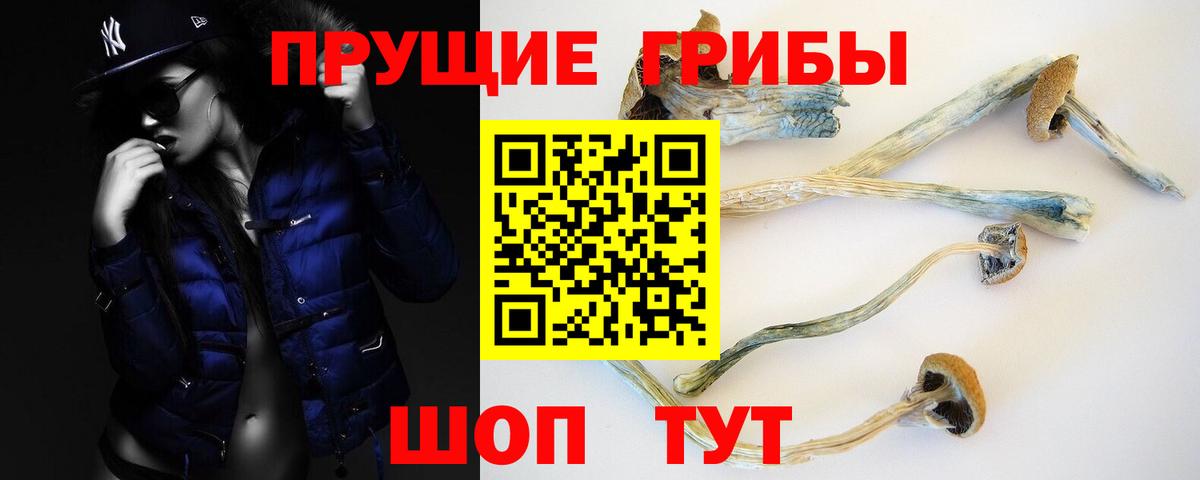Ухта  Псилоцибиновые грибы MAGIC MUSHROOMS  Вход с VPN 